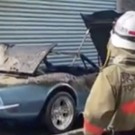 松岡充の愛車遍歴。青のコルベット1968年は故障事故で炎上[画像]